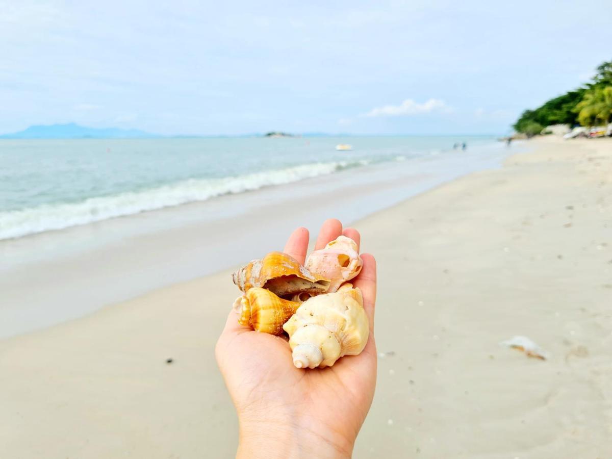 527 Beachhouse L 5 Bedroom With Swimming Pool - 3Min Walk To The Beach 丹绒武雅 外观 照片